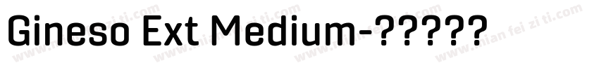 Gineso Ext Medium字体转换